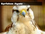 Quebra-cabeça Gyrfalcon